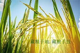 泸州古蔺糧油園區